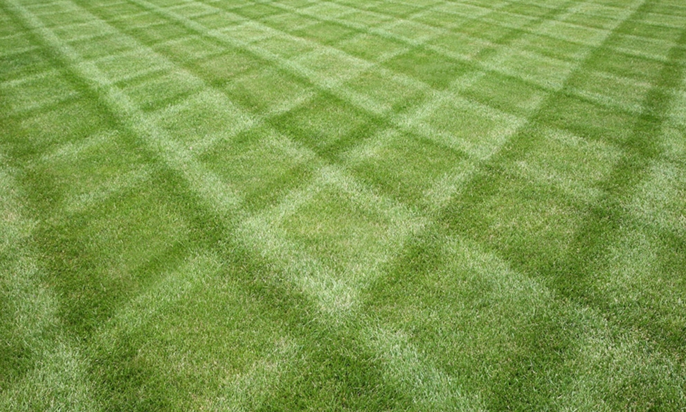 Spring and Fall Cleanup