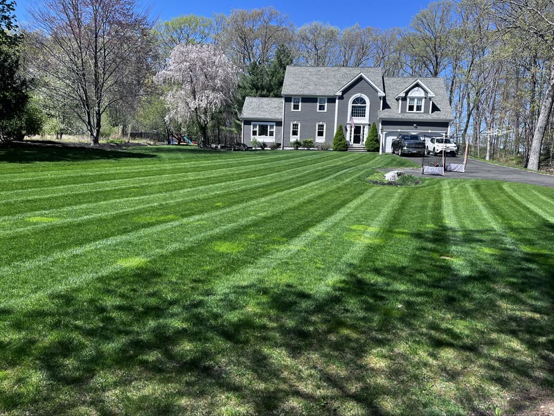 Large residential front lawn with perfect striping patterns and mature landscaping