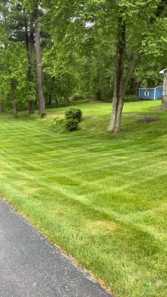 Mowing Services