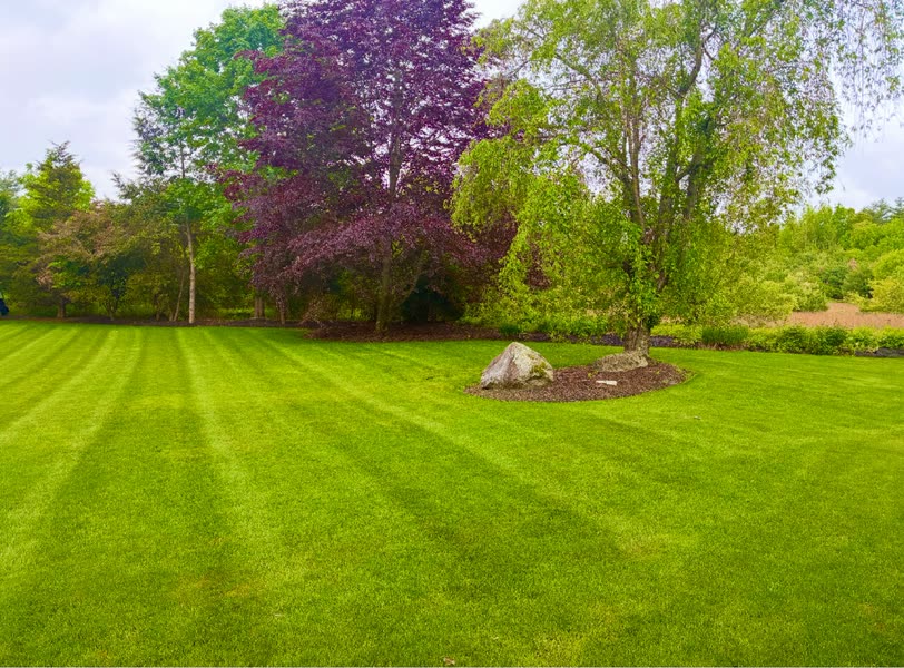 Expert lawn striping and professional mowing techniques for beautiful results