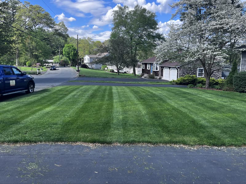 Regular lawn maintenance
