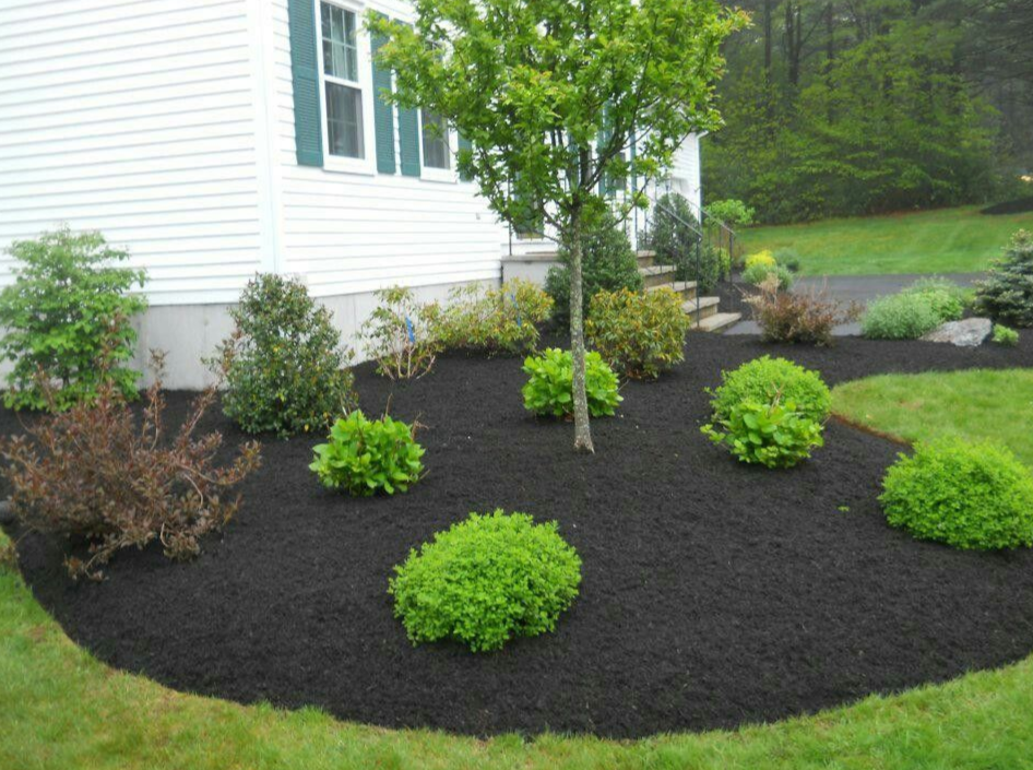 Curved garden bed with dark mulch and green shrubs